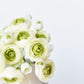 10.5" Faux White + Green Ranunculus Stem Bundle