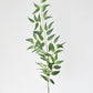 36" Faux Italian Ruscus Stem