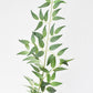 36" Faux Italian Ruscus Stem