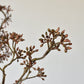 38" Faux Brown Sedum Berry Branch