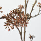 38" Faux Brown Sedum Berry Branch