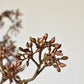 38" Faux Brown Sedum Berry Branch