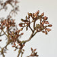 38" Faux Brown Sedum Berry Branch