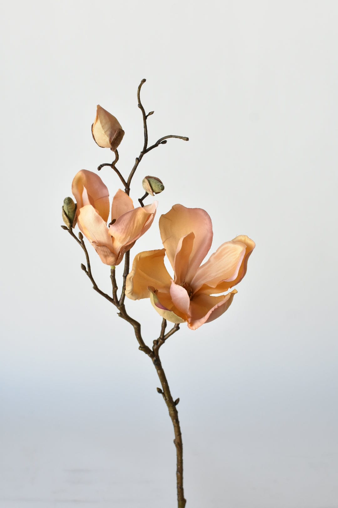 19" Faux Magnolia Stem Light Orange/Pink
