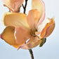 19" Faux Magnolia Stem Light Orange/Pink