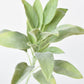 12" Faux Green Sage Pick Stem