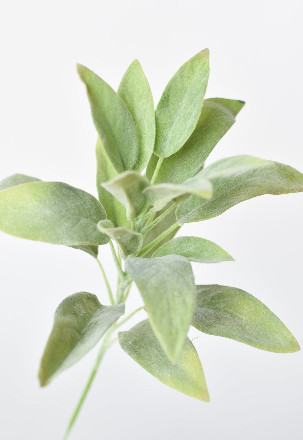 12" Faux Green Sage Pick Stem