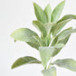 12" Faux Green Sage Pick Stem