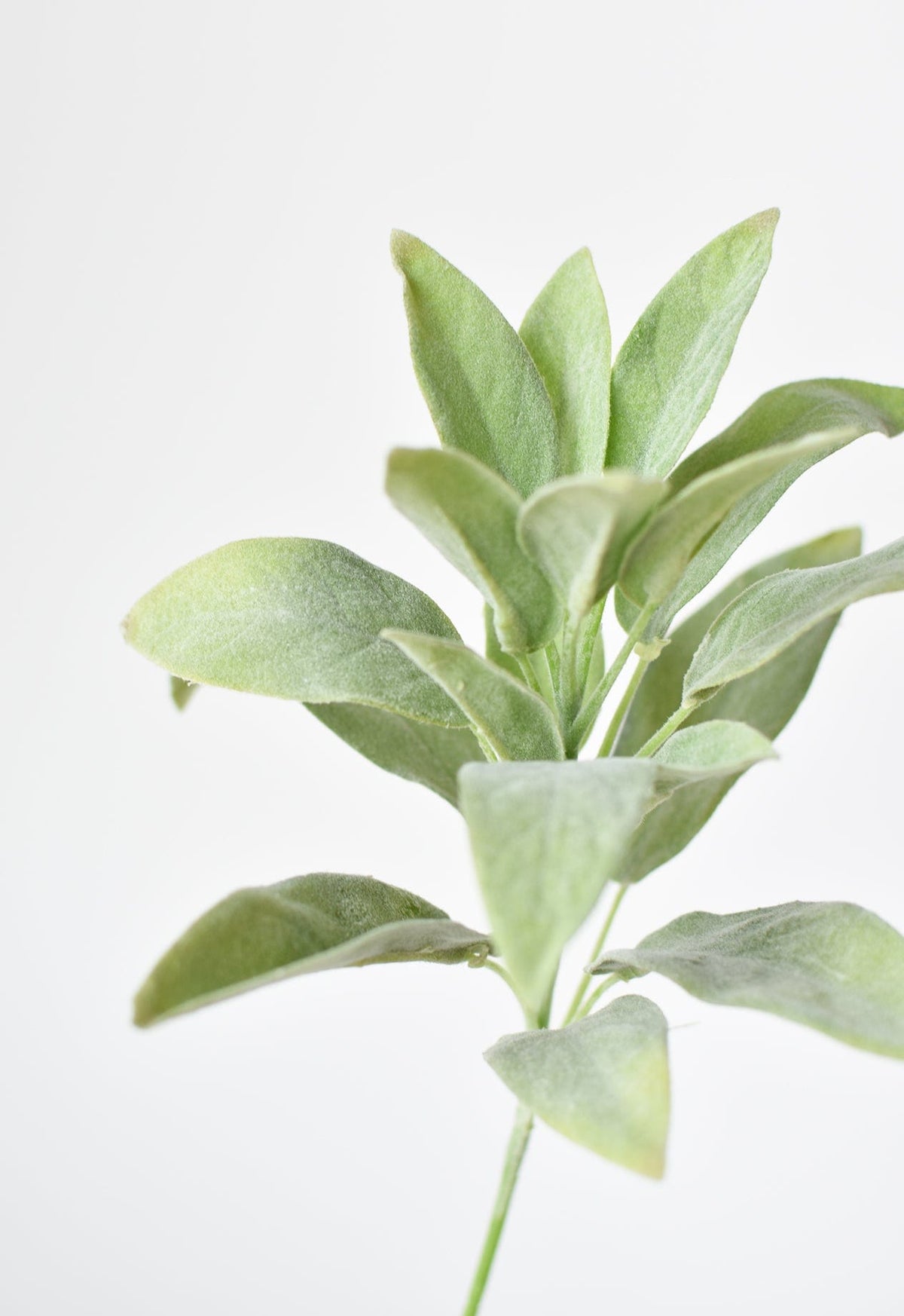 12" Faux Green Sage Pick Stem
