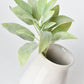 12" Faux Green Sage Pick Stem
