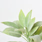 12" Faux Green Sage Pick Stem