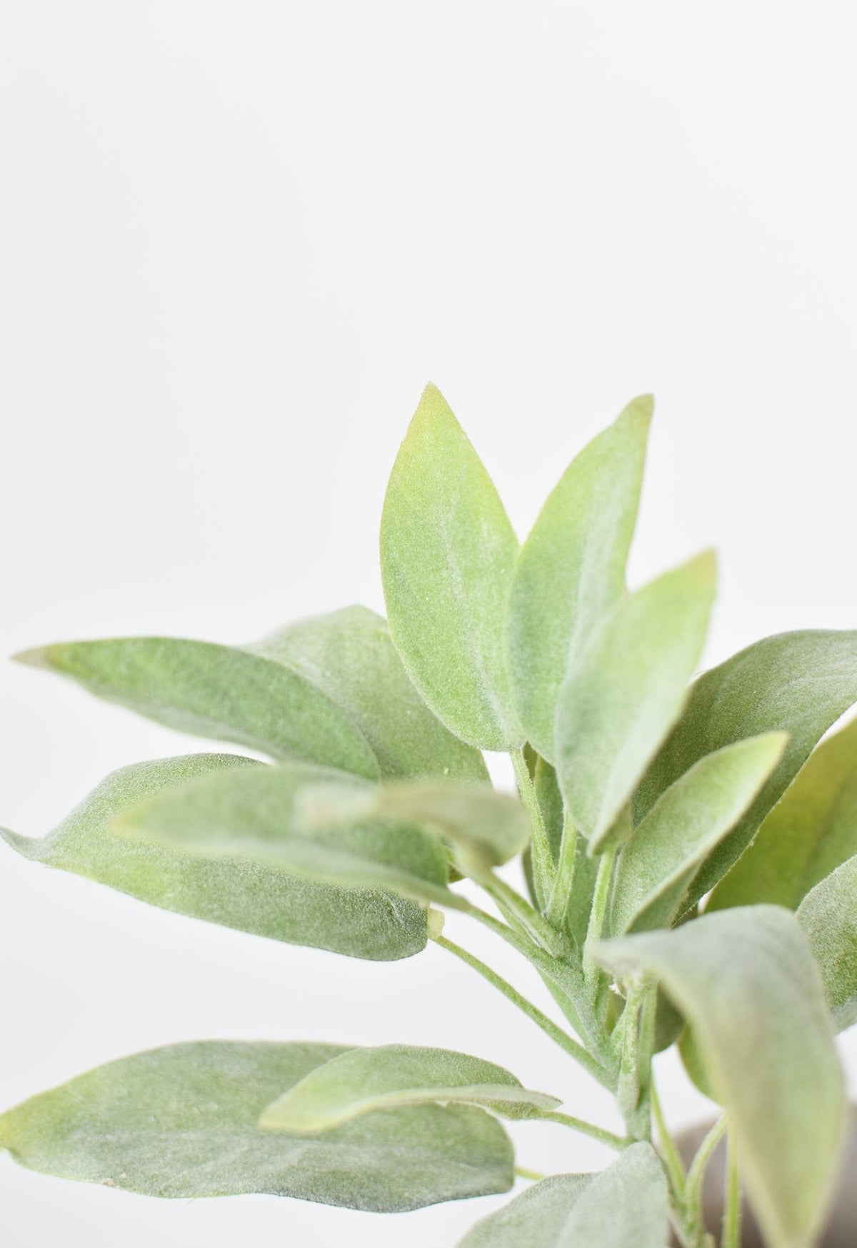12" Faux Green Sage Pick Stem
