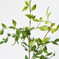 32" Faux Nandina Leaf Stem