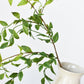 32" Faux Nandina Leaf Stem