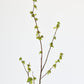 40" Faux Budding Branch Stem