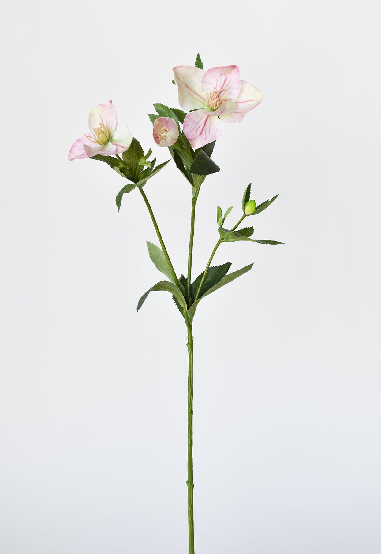 25" Faux Helleborus Stem Pink / Green