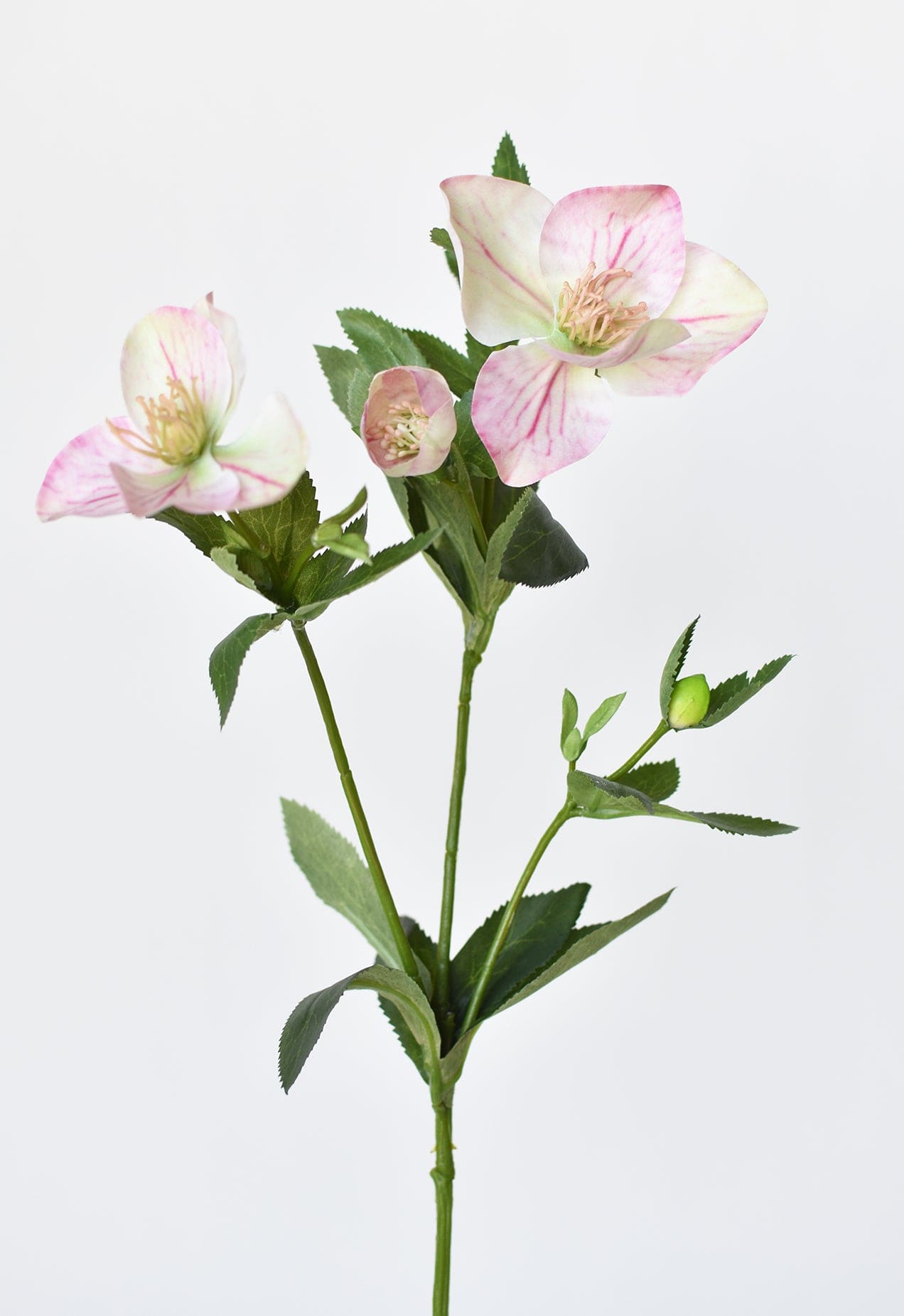 25" Faux Helleborus Stem Pink / Green