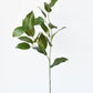 36" Faux Lemon Leaf Branch Stem