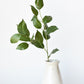 36" Faux Lemon Leaf Branch Stem