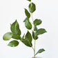 36" Faux Lemon Leaf Branch Stem