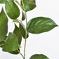 36" Faux Lemon Leaf Branch Stem