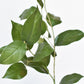 36" Faux Lemon Leaf Branch Stem