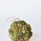 4" Faux Green Sedum Ball