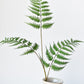 33" Faux Forest Fern Spray
