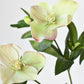 25" Faux Helleborus Stem Green