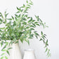 36" Faux Italian Ruscus Stem