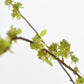 40" Faux Budding Branch Stem