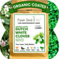 Dutch White Clover Seed