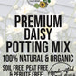 Daisy Premium Potting Mix