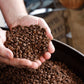 Roaster's Choice Coffee 5lbs