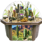Desert Dome Biosphere Terrarium