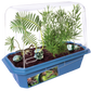 Prehistoric Dinosaur Land Mini World Terrarium