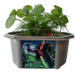 Dinosaur Domain Biosphere Terrarium