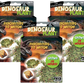 Dinosaur Plant -  Multipack of 3