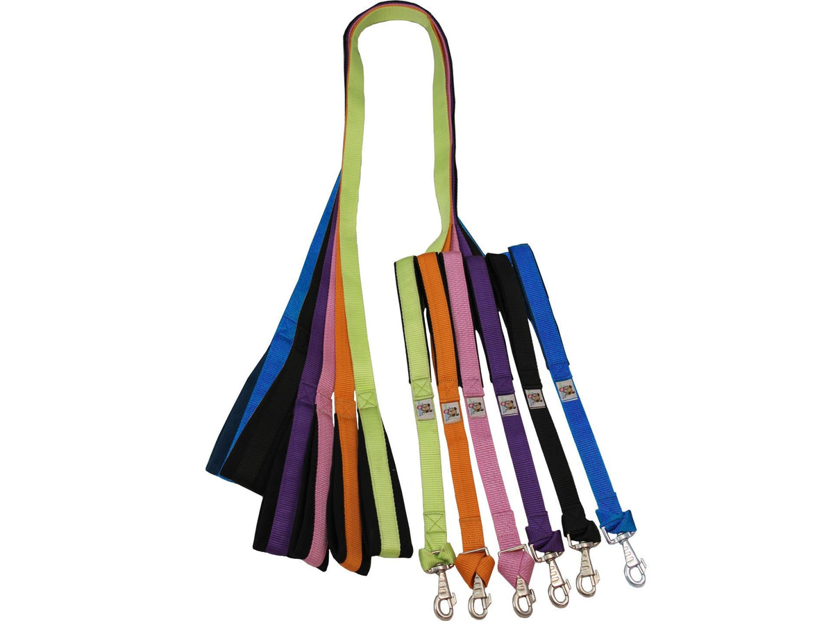 Correa para perro acolchada de doble asa con mosquetón reemplazable garantizado, 1" x 6'