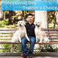 Dog Training Collar Remote Beep Vibration Shock Waterproof 1 or 2 Dogs