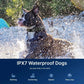 Dog Training Collar for up to 2 Dogs Remote Waterproof Rechargeable 1 Mile Range