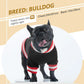 Dog Winter Fleece Pullover Sweater, Soft Warm Hoodie for Small to Medium Dogs