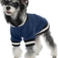 Dog Winter Fleece Pullover Sweater, Soft Warm Hoodie for Small to Medium Dogs