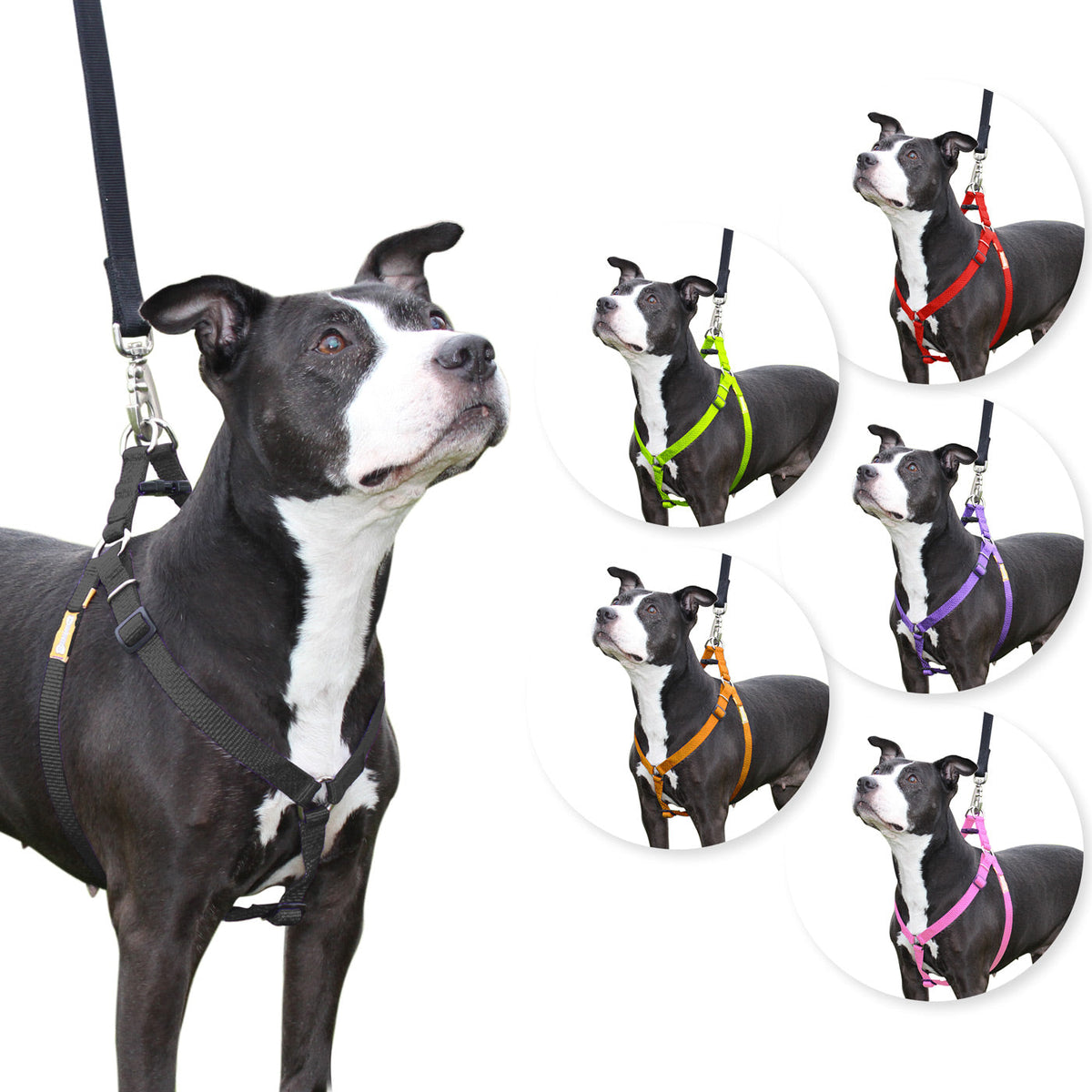 Arnés para perros Step in de cuteNfuzzyÂ®