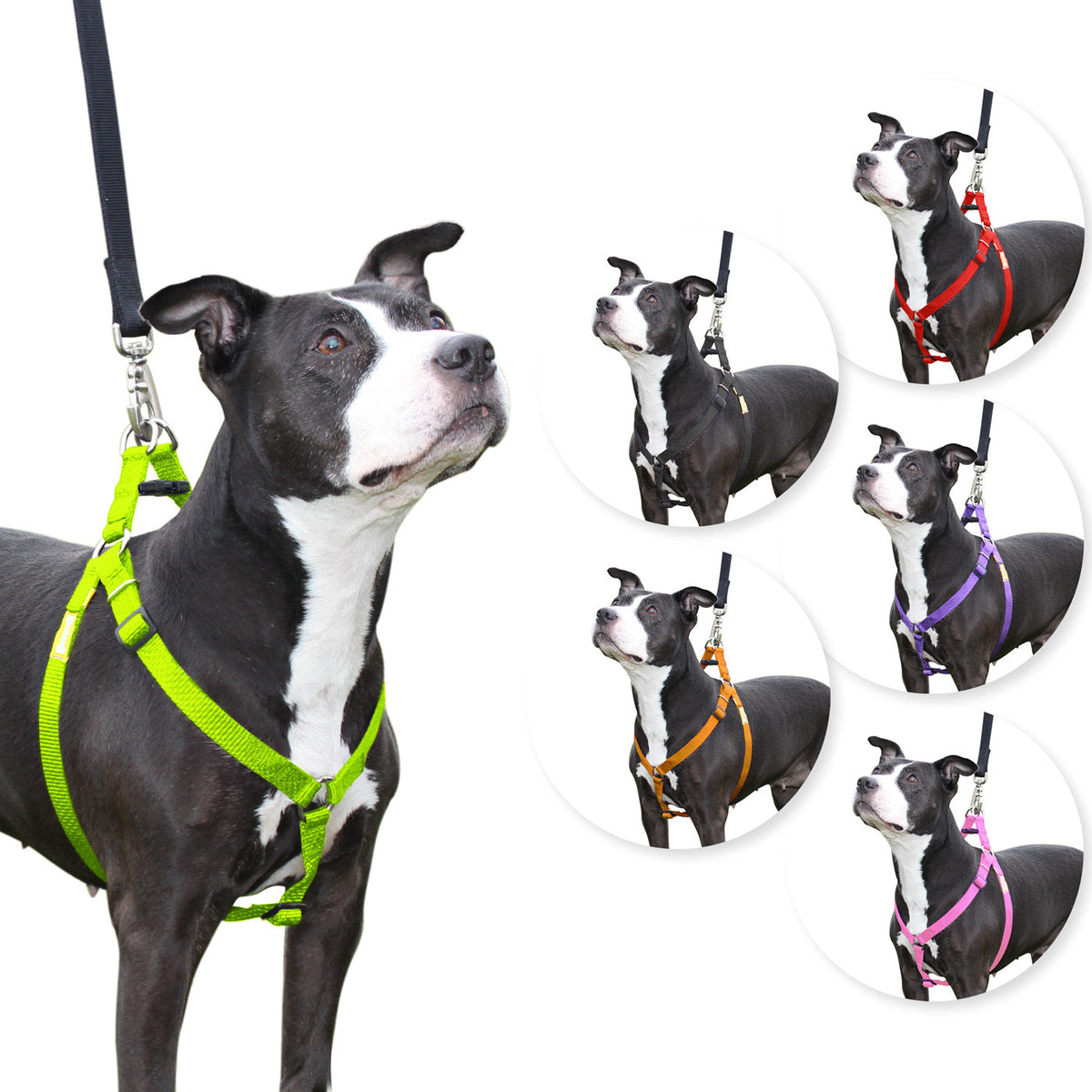 Arnés para perros Step in de cuteNfuzzyÂ®