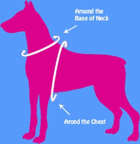 Arnés para perros Step in de cuteNfuzzyÂ®