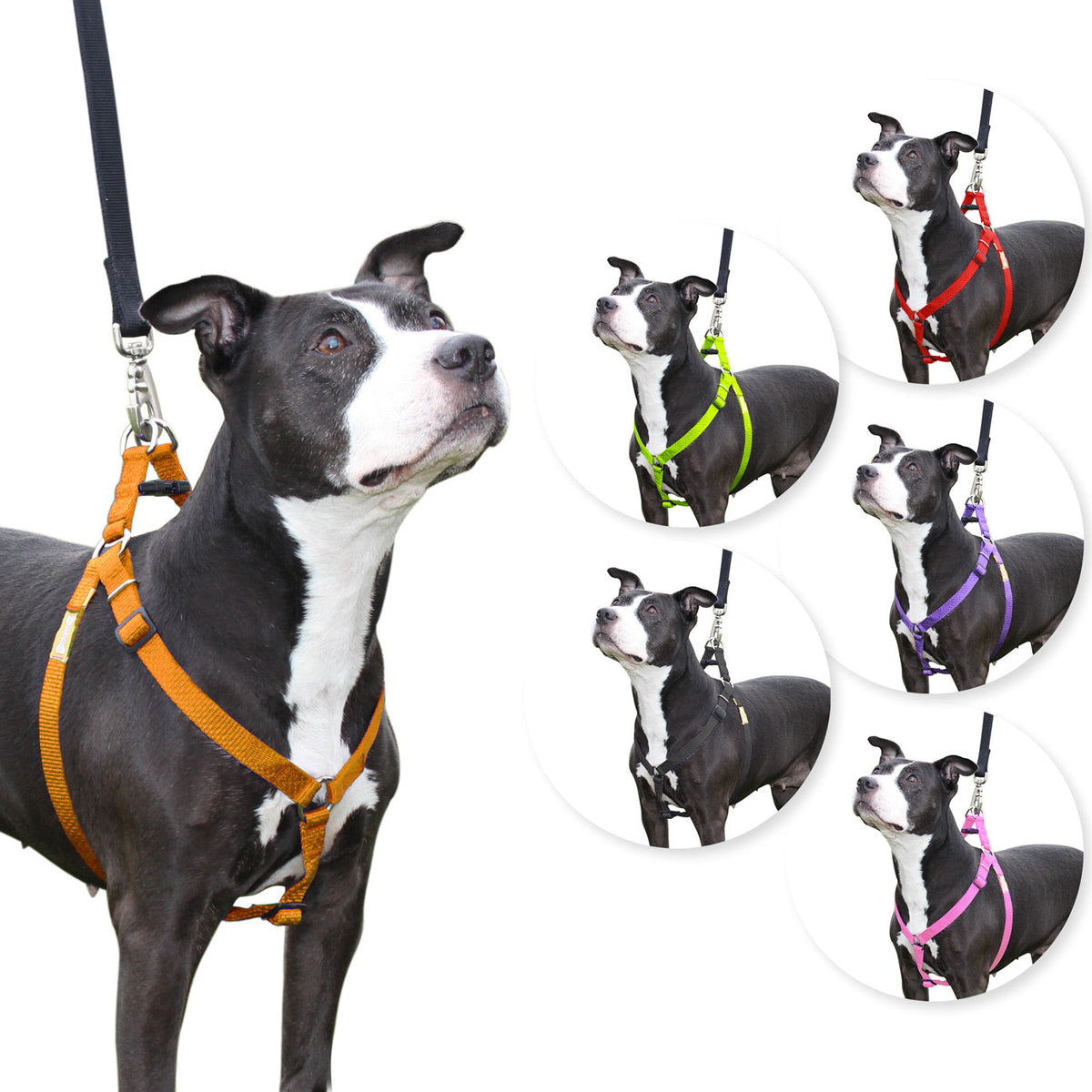 Arnés para perros Step in de cuteNfuzzyÂ®