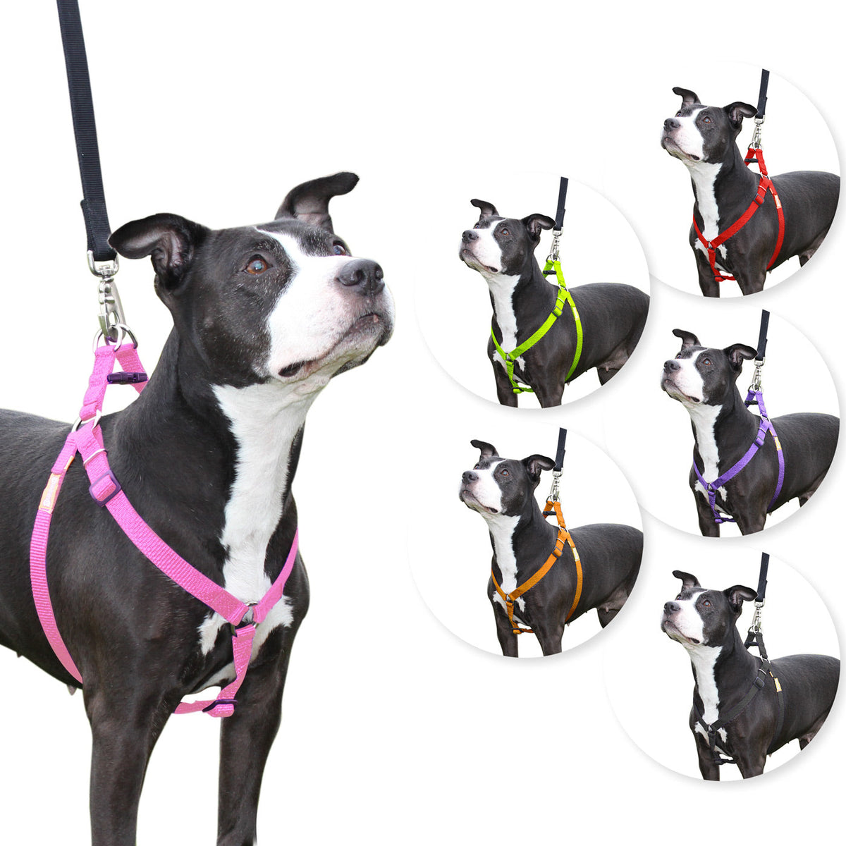 Arnés para perros Step in de cuteNfuzzyÂ®