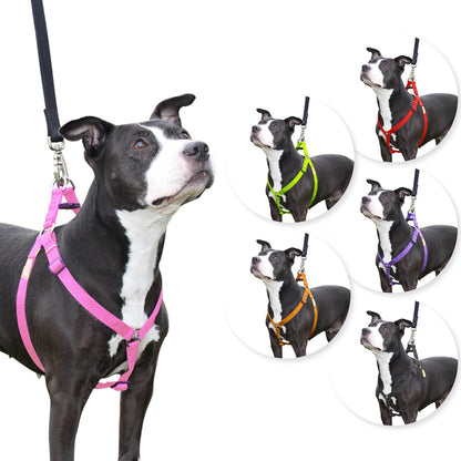 Arnés para perros Step in de cuteNfuzzyÂ®
