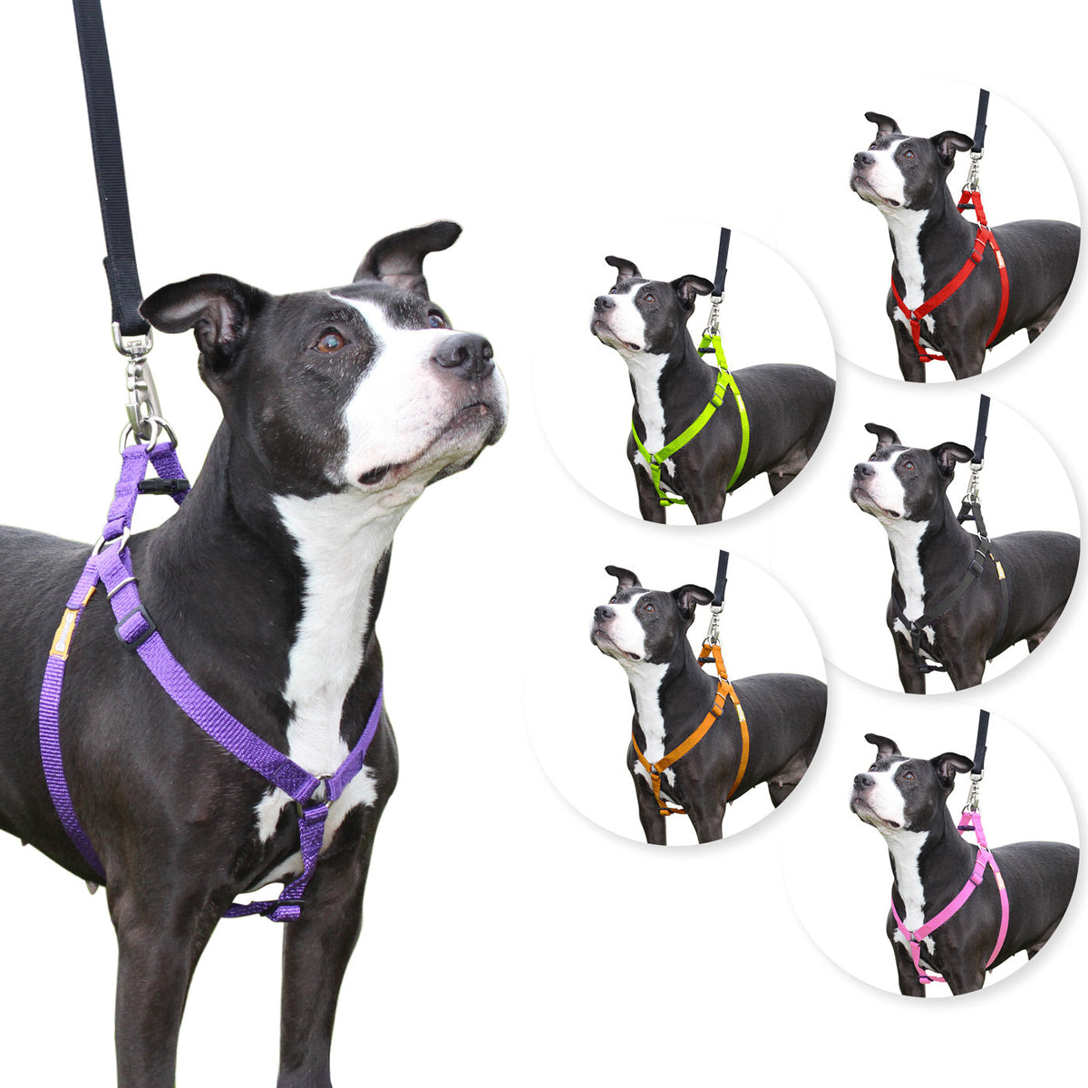 Arnés para perros Step in de cuteNfuzzyÂ®